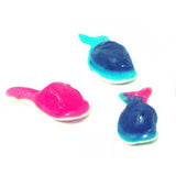 Gummy Whales - 2.2lb