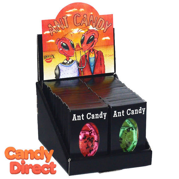 Ant Candy With Real Ants - 24ct