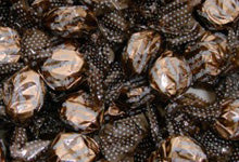 Brown Candy at CandyDirect.com