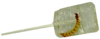 Tequila Pops With Worm - Hotlix 36ct