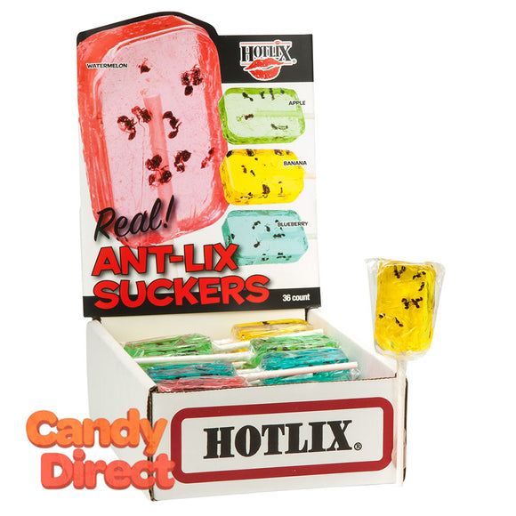 Hotlix Lollipop Ant Lix Suckers 1oz - 36ct